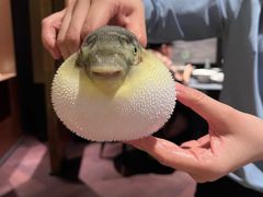-肆月河豚·淮扬菜·湘菜(华天店)