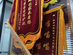 -伟伟宠物医院·CT影像中心·瑞派犬猫综合性门诊(汉口总院)