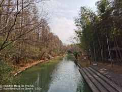 -同里国家湿地公园