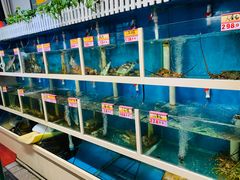 水产区-鑫悦楼煎蟹·16年海鲜大排档