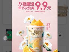 -荷兰街