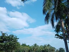 -海棠湾洲际-涛·海底餐厅·美人鱼·自助餐·海底隧道