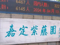 -嘉定紫藤园