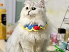 -联合动物医院(光谷诊疗中心)