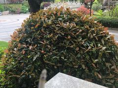 -张江润和国际总部园