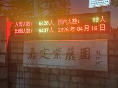 -嘉定紫藤园