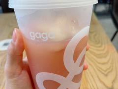 -gaga(深圳南山益田假日广场店)