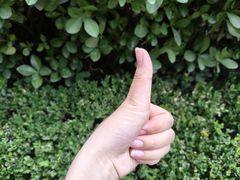 -大碗先生(万家丽店)