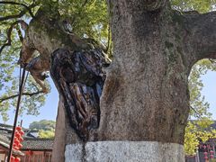 -新安江山水画廊风景区