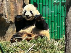 -大连森林动物园