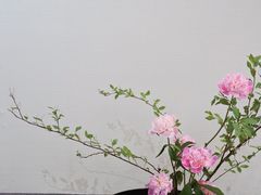 -杭州平安悦坊 PAFC LIVING