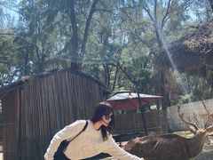 -六鳌翡翠湾滨海度假景区