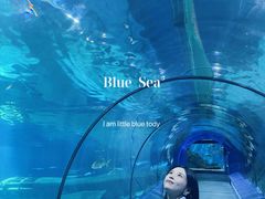 -福州罗源湾海洋世界旅游区