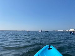 -碧海金沙