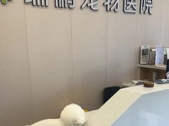 -瑞鹏宠物医院·骨科·猫科·内科(第一中心)