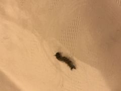 -雅典皇宫洗浴健身俱乐部(东岳大街店)