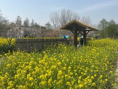 -柳鹭田园区