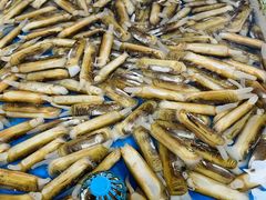 -南沙十九涌渔人码头-南门