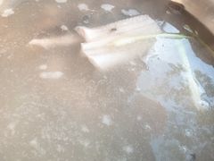 清汤锅-活鱼馆(宜兴埠店)