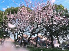 -上海辰山植物园