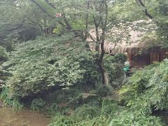 -中国茶叶博物馆(双峰馆区)