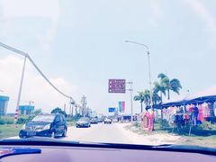 -广东惠东海龟国家级自然保护区