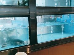 -上菜呷饭(花溪店)