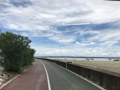 -北海金海湾红树林生态旅游区