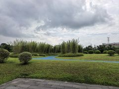 -长洲岛