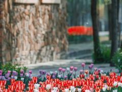 -北京国际鲜花港