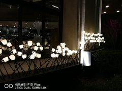 -星巴克(迪士尼小镇店)