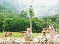 -云台山风景名胜区