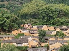 -杨家堂村