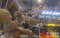 -卡通尼·Safari非洲探索乐园·生日会(金桥国际商业广场店)