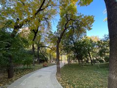 -元大都城垣遗址公园