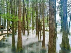 -东湖落雁景区