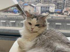 -怪兽屋·羊驼·猫咖·狗咖(俊华广场店)