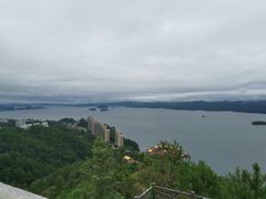 -浔味·山屿湖·正宗全鱼宴老字号