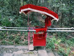 -溪口-滕头旅游景区