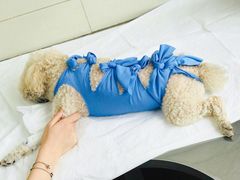 -康旭宠物医院(郑州总院)