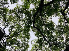 -浙江西湖美术馆