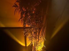 -宁采臣Sleep·采耳·SPA放松馆(湖里万达店)