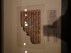 -北京大学赛克勒考古与艺术博物馆