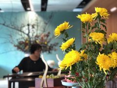 -璞素(浦东店)