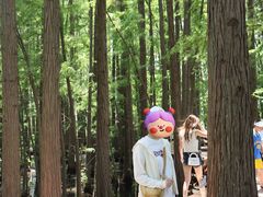 -东湖落雁景区