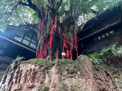 -青城山