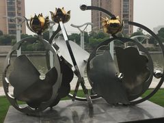 -陈家山荷花公园