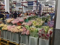 -山姆会员商店(上海浦东店)