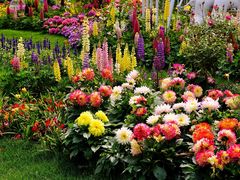 -上海共青森林公园