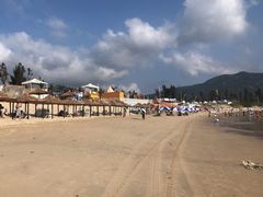 -西涌国际滨海旅游区